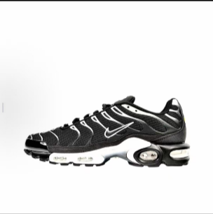 Air VaporMax Plus TN